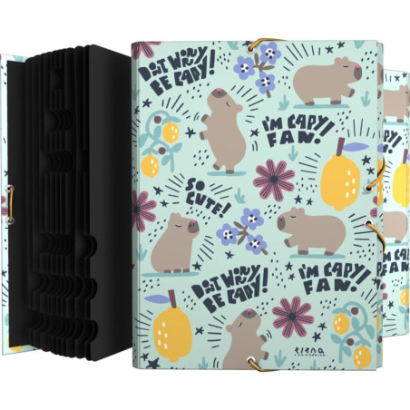 CLASIF.FORR.SOLAP. EC CHEERFUL GRAFOPLAS26 PACK 2U. 82212747