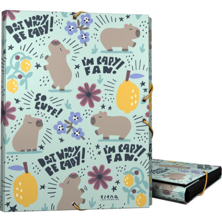 CARP.3 SOLAPAS FOR. EC CHEERFUL GRAFOPLAS26 PACK 2U. 82402747