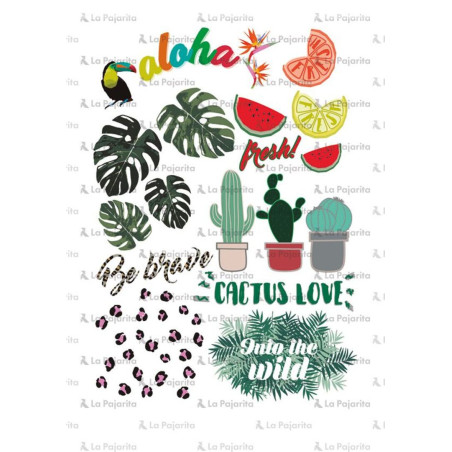 HOJA TRANSFERS ALOHA LA PAJARITA 091004 UNIDAD