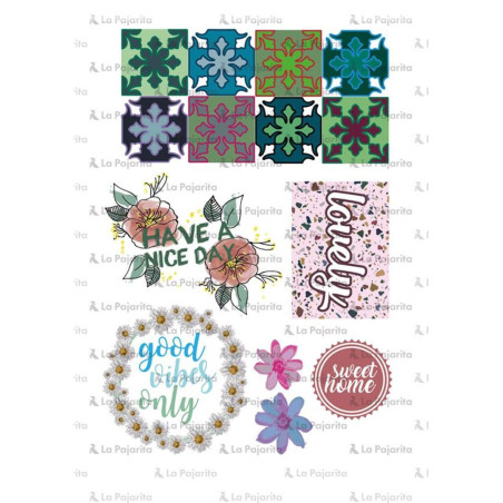 HOJA TRANSFERS HOME LA PAJARITA 091005 UNIDAD