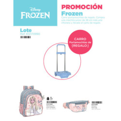 LOTE FROZEN II "MAGICAL SEASONS" SAFTA22 VAC 612173990