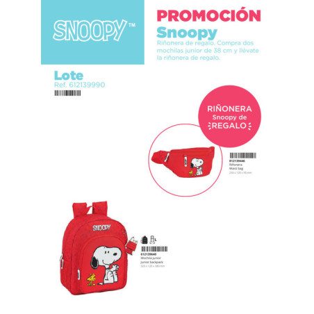 LOTE SNOOPY SAFTA22 VAC 612139990