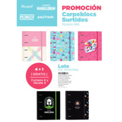 LOTE CARPEBLOCS SURTIDOS MARCAS 1 SAFTA22 VAC 542257666