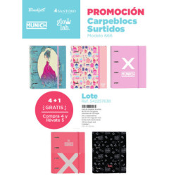 LOTE CARPEBLOCS SURTIDOS MARCAS 2 SAFTA22 VAC 542257638