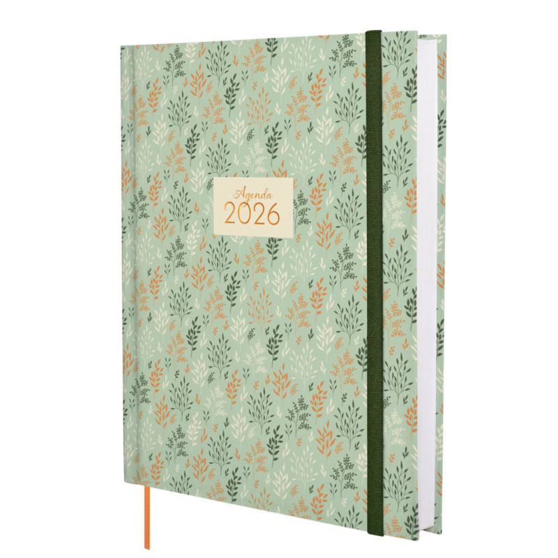 CARPEBLOC 4A 35MM C/RECAMBIO BLACKFIT8 "FLY WITH ME" 542239666 32*27 SAFTA22