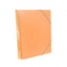 CARPETA ESCAPARATE A-4 PRYSE 60 FUNDAS ESPIRAL KANGURO COLOR NARANJA 42400565 UNIDAD