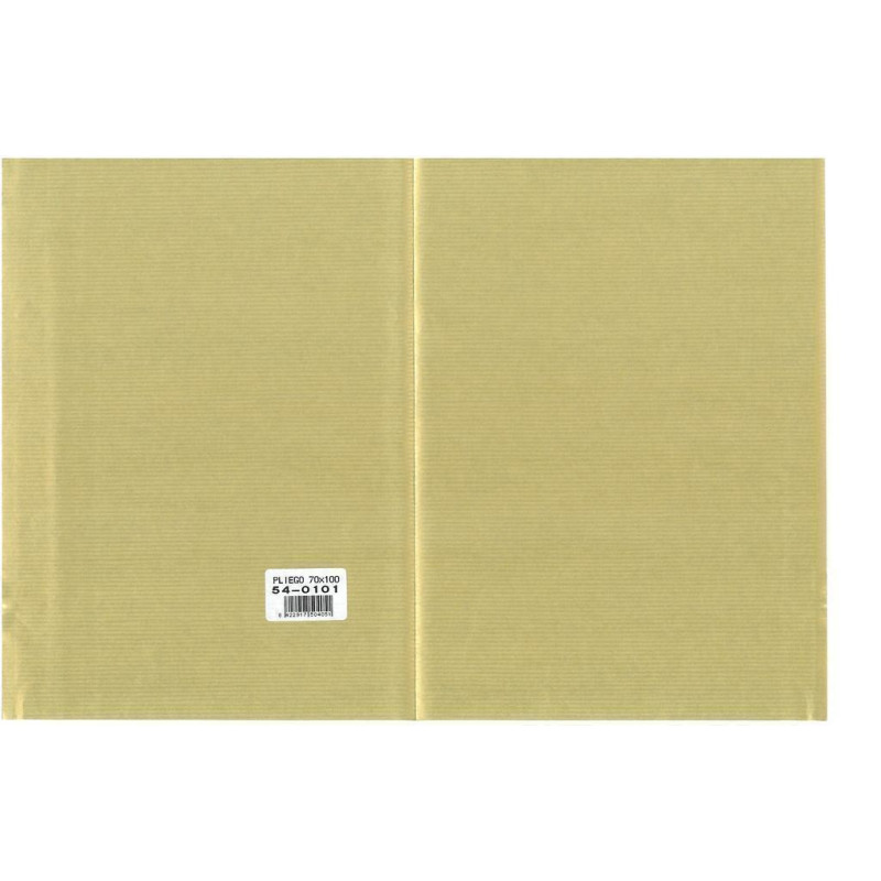 PAPEL REGALO 70*100 MANO 25H 54-0101