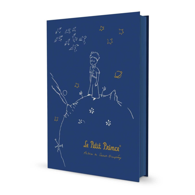 CUADERNO PREMIUM EL PRINCIPITO A-5 CPA5001 UNIDAD ERIK