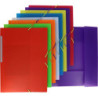 CARPETA GOMAS PP A3 SOLAPAS SURTIDAS TRANSL. LOMO ROTULABLE COLORGRAF GRAFOPLAS