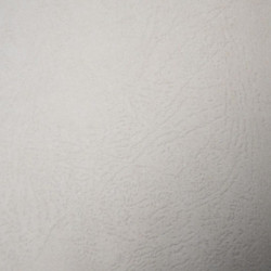 TAPAS A-4 CARTON GOFRADO BLANCO PTE 50U DHP 22306