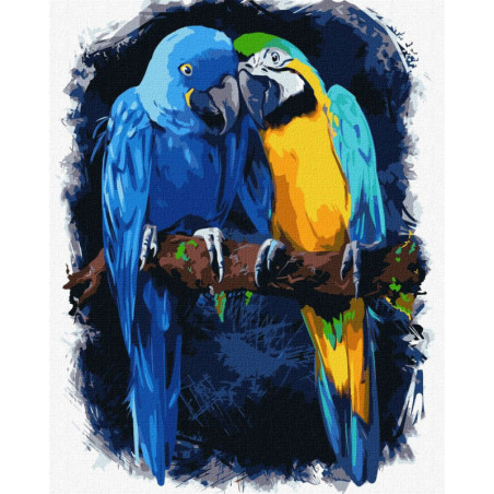 LIENZO IDEYKA 40*50 PARA PINTAR POR NUMEROS 4463 LOROS PRECISION