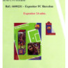 CUENTO PINTACOLOR PRYSE FCBARCELONA MANUALIDADES SURTIDO 6600231 ^