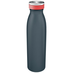 BOTELLA LEITZ COSY 500 ML GRIS