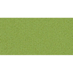 CARTULINA CANSON MI-TEINTES A-4 160G 480 VERDE ALMENDRA PTE 50H