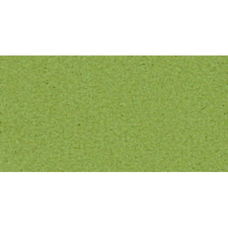 CARTULINA CANSON MI-TEINTES A-4 160G 480 VERDE ALMENDRA PTE 50H