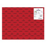 CARTULINA CANSON GUARRO IRIS 30KG 50*65 ROJO 15 PTE/25U C200040228