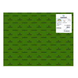 CARTULINA CANSON GUARRO IRIS 30KG 50*65 VERDE SAFARI 89 PTE/25U