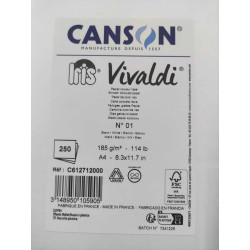 CARTULINA CANSON GUARRO IRIS A-4 BLANCA 01 185G PTE 250U 612712000