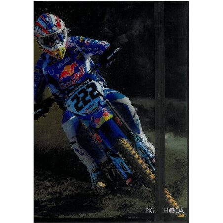 CARPETA DEC GOMAS PROYECTOS FL PIGNA 11 REDBULL 0216730 ^