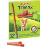 LAPIZ ALPINO 113 TRIMAX 12 COLORES GRUESO AL000113