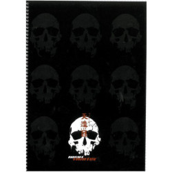 CUADERNO DEC FL GABOL 10 FIGTHER 5*5 207251 ^