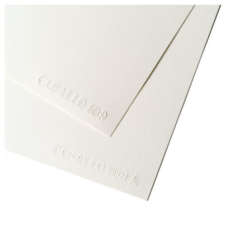 PAPEL MCH CABALLO 109 A-3 29,7*42 250G PTE 100H