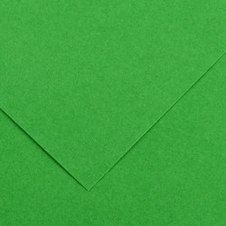 CARTULINA CANSON GUARRO IRIS A-4 VERDE BILLAR 29 PTE 50U 200040172