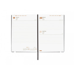 AGENDA ANUAL FINOCAM21 MARA Y4 1DP 2021 ROJO+ 621083021 17*12