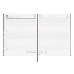 AGENDA ANUAL FINOCAM21 BERLIN Y12 1DP 2021 MOSAIC+ 624051121 27*21