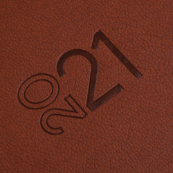 AGENDA ANUAL FINOCAM21 MILANO Y11 1DP 2021 MARRON+ 625184021 24*16,5