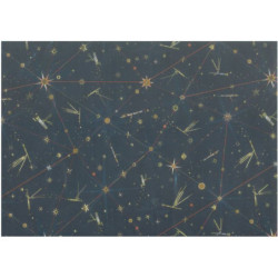 PAPEL REGALO 50*70 ARGU TURNOWSKY TELESCOPIO PTE 10H 38747 MOD 15 ^