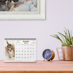 CALENDARIO ANUAL FINOCAM21 SOBREMESA 2021 GATITOS+ 780323821