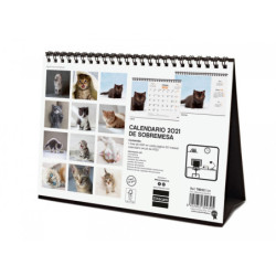 CALENDARIO ANUAL FINOCAM21 SOBREMESA 2021 GATITOS+ 780323821
