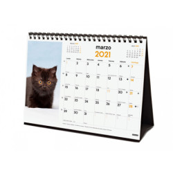 CALENDARIO ANUAL FINOCAM21 SOBREMESA 2021 GATITOS+ 780323821