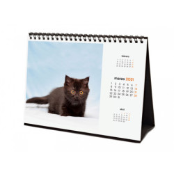 CALENDARIO ANUAL FINOCAM21 SOBREMESA 2021 GATITOS+ 780323821
