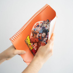 CARPETA ESCAPARATE DEC A4 30 FUNDAS ERIK DRAGONBALL CFA406