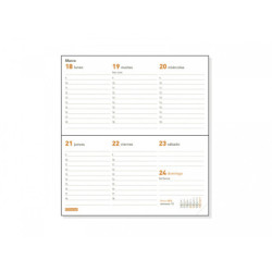 RECAMBIO AGENDA ANUAL FINOCAM24 P199 PL1 SVV 2024 PL1 64*118 341410024