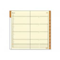 RECAMBIO AGENDA ANUAL FINOCAM24 P497 PL4 MV 2024+ PL4 80*150 341440024