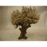 ARBOL 27CM FLOR BLANCA OLIVER 01010 ^