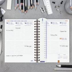 AGENDA ESCOLAR FINOCAM24 INSTITUT 4º SVV 24-25 PIXEL+ 532221825