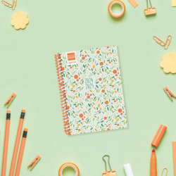 AGENDA ESCOLAR FINOCAM24 DIVA 8º SVH 24-25 FRUITS+ 536100325