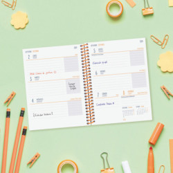 AGENDA ESCOLAR FINOCAM24 DIVA 8º SVH 24-25 FRUITS+ 536100325