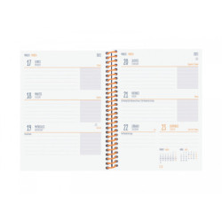 AGENDA ESCOLAR FINOCAM24 DIVA 8º SVH 24-25 FRUITS+ 536100325