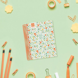 AGENDA ESCOLAR FINOCAM24 DIVA 8º 1DP 24-25 FRUITS+ 536120325