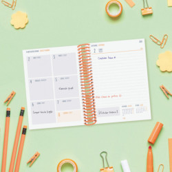 AGENDA ESCOLAR FINOCAM24 DIVA 8º 1DP 24-25 FRUITS+ 536120325