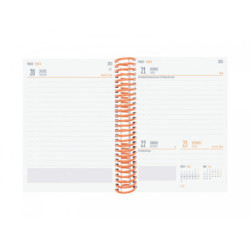 AGENDA ESCOLAR FINOCAM24 DIVA 8º 1DP 24-25 FRUITS+ 536120325