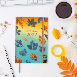 AGENDA ENCUADERNADA ANUAL BERLIN Y10 SV 2022 HOJAS+ FINOCAM22 624001222