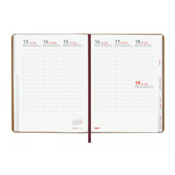 AGENDA ENCUADERNADA ESCOLAR FINOCAM22 16 MESES LABOR A5+ SVV 22-23 MARR.INTL+ 164X217 626200223