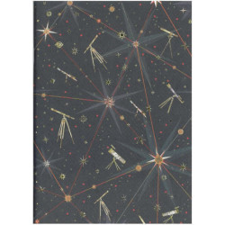 LIBRETA TURNOWSKY A-5 COSMOS ARGU 38654