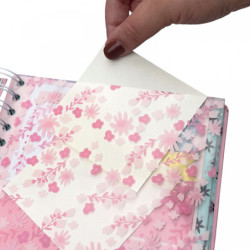 AGENDA ESCOLAR FINOCAM24 16M VITAE 4º SVH 24-25 VERDE+ 626501025